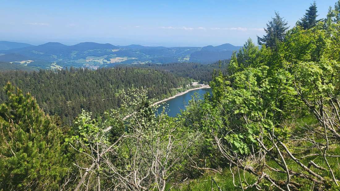Vogen_038 Vogen_038